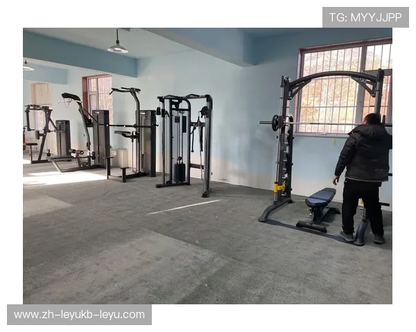 高端健身器材品牌推荐，助你打造完美身材与健康生活