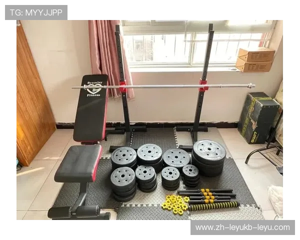 适合在家使用的健身器材排行榜